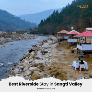 Read more about the article Blue Bird Homestay in Sangti valley